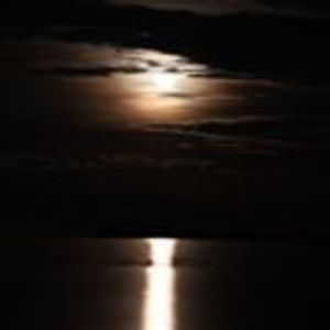 matrix_2_neo2000 avatar