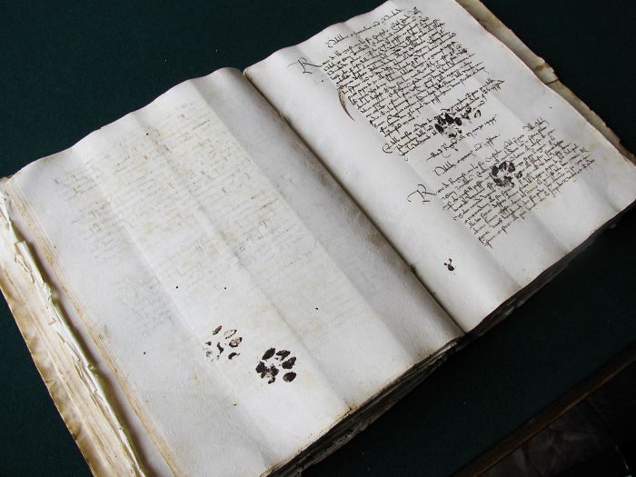 Gato del siglo XV dejando huellas en el manuscrito de su dueño