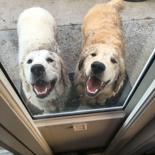 Just Gave These Two Assholes A Bath