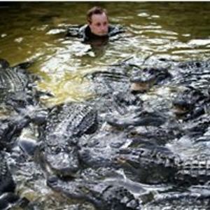 thegatorcrusader