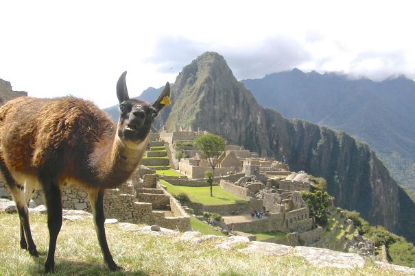 Snapped This Majestic Shot Of Machu Picchu