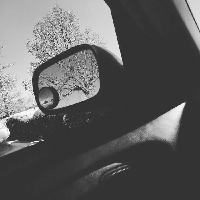 This Tree Lined Up Almost Perfectly With The Tree In My Mirror. The Black And White Made It Fit Even Better