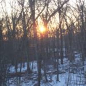 katherine0304 avatar