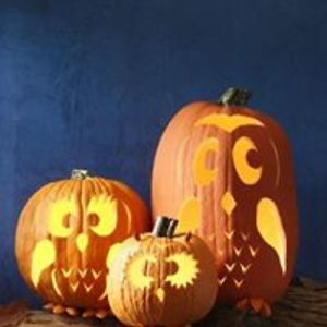 michellewestusa avatar