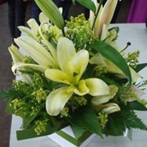 brendaliltaylor avatar