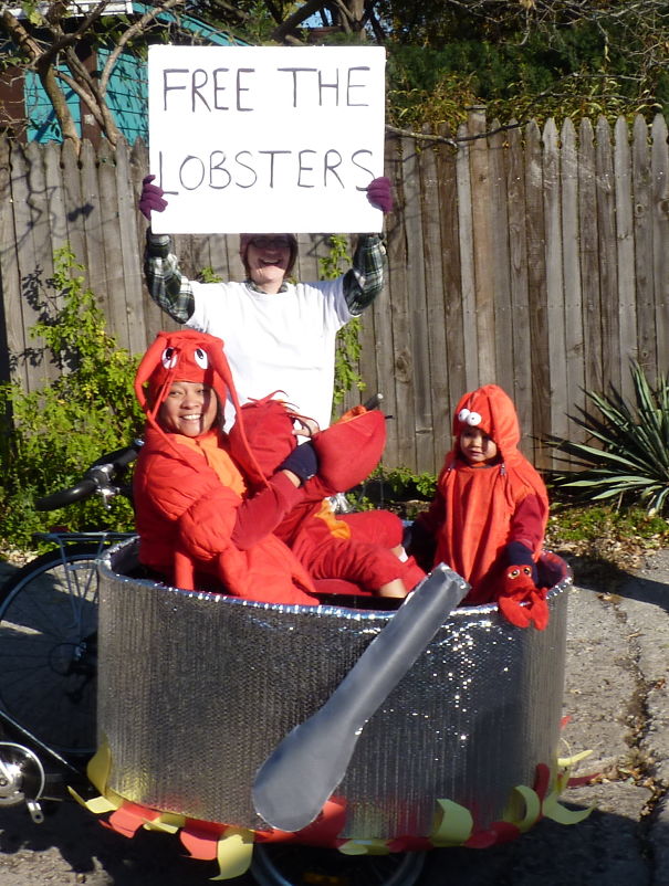 Free The Lobsters