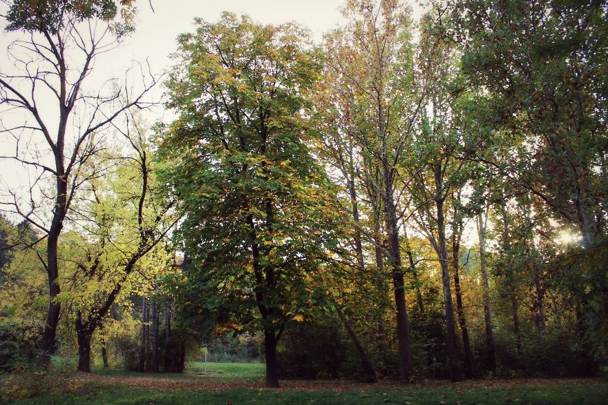 Nature Wears The Colors Of The Spirit