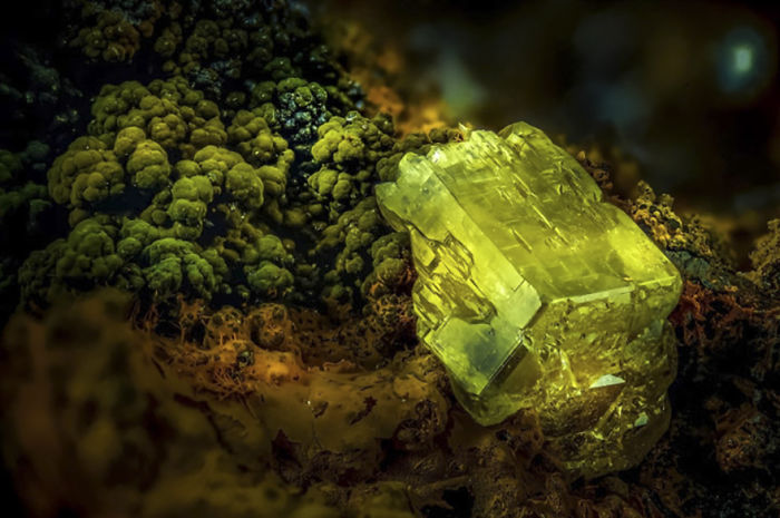 Mineral de piromorfita, España, imagen distinguida
