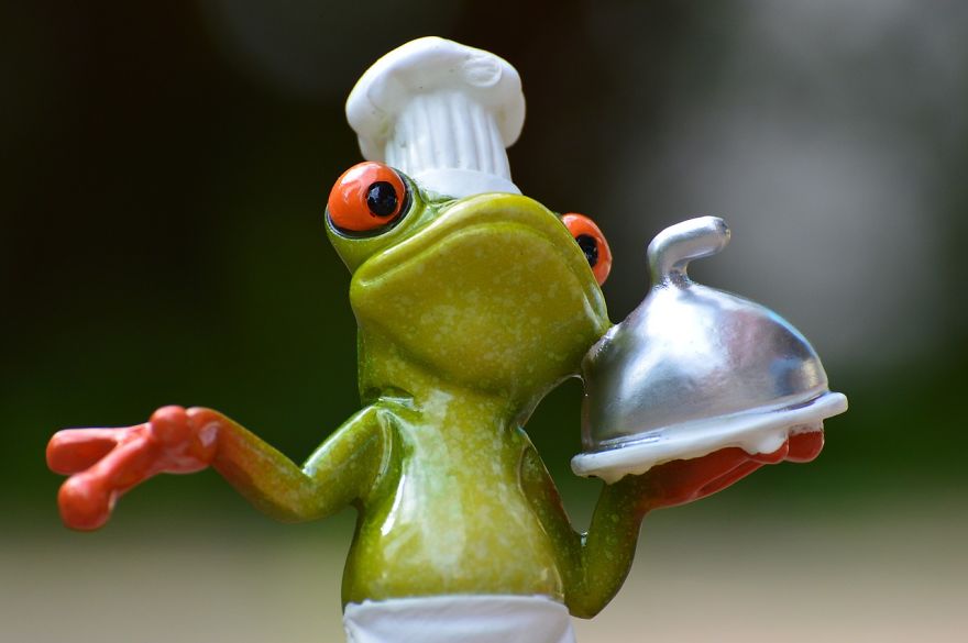 8 Tips To Be A Famous Chef On The Internet