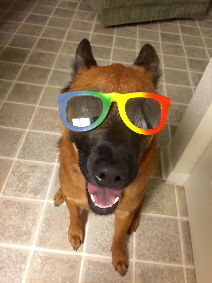 Jake Is Ready For Sunshine!