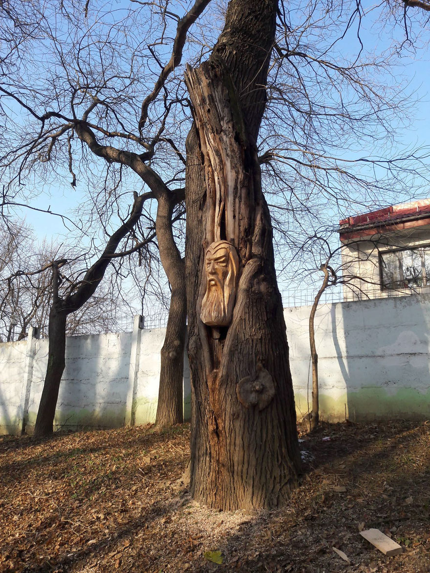 Romanian Artist Uses A Chainsaw To Turn Trees Into Sculptures, And The Result Is Impressive
