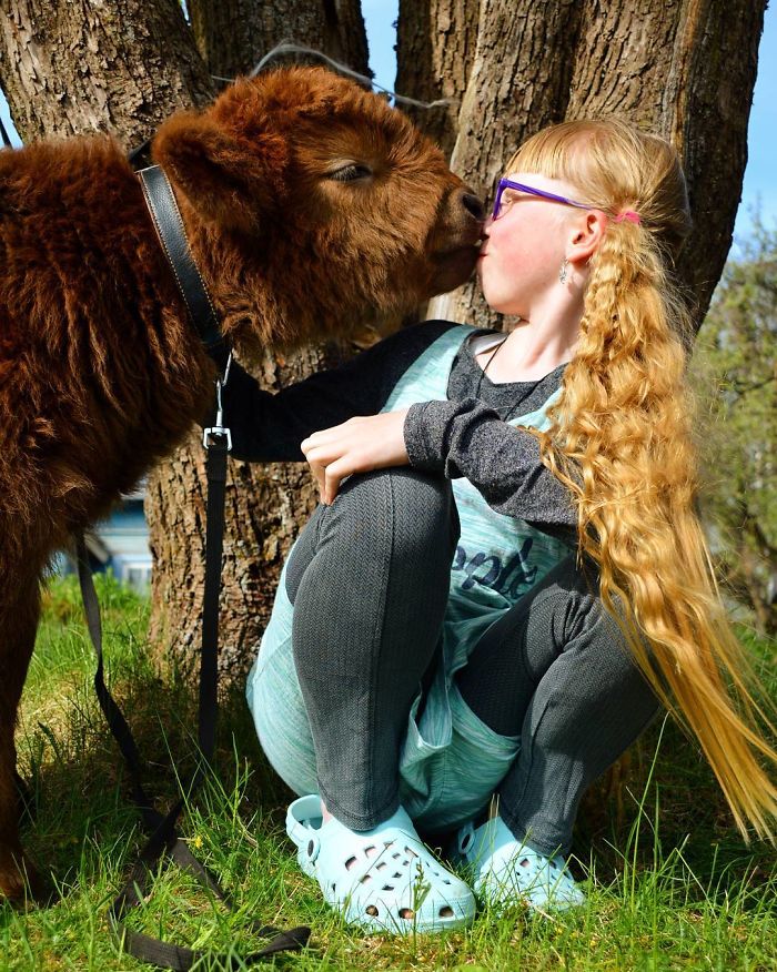 girl kissing baby calf 