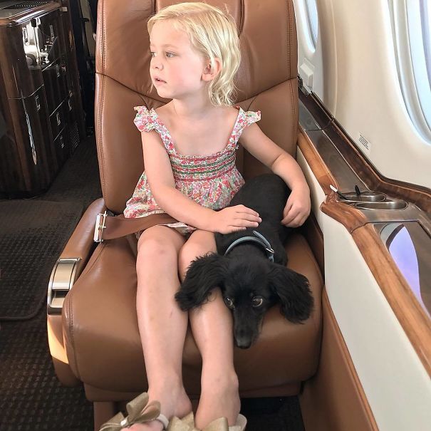 E And Lucie Both Nervous On Takeoff. At Least E Knows How To Comfort Her Puppy. Picture Taken Just As We Went Wheels Up