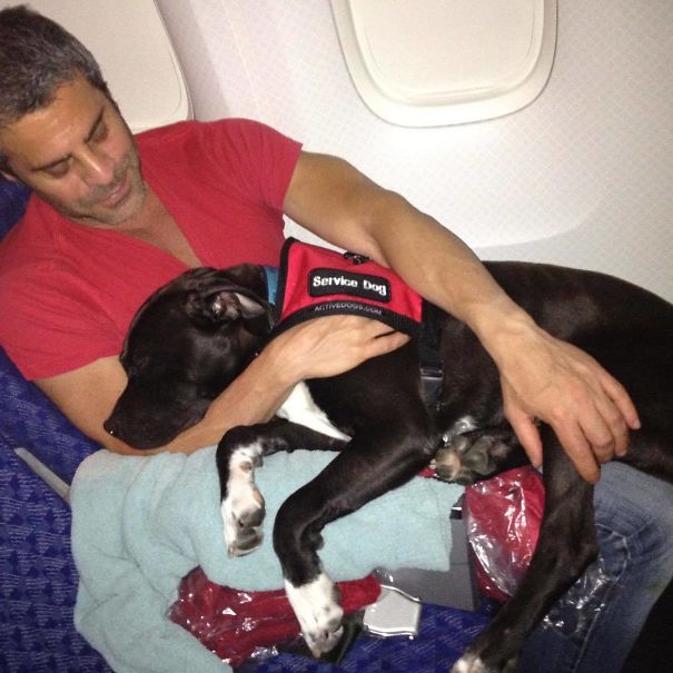 This Is The Time My Daddy And My Other Daddy Martin (Whom I Miss So Much) Brought Me From Los Angeles To New York On The Plane! See, I Was Found On The Means Streets Of South Central Alone And Scared But Somehow, I Found My Way To My Daddies And The Best Life Ever!
