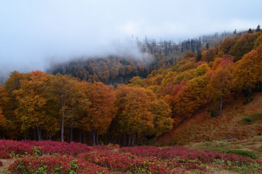 This Is What October In Bakhmaro(Georgia) Looks Like