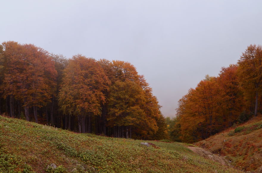 This Is What October In Bakhmaro(Georgia) Looks Like