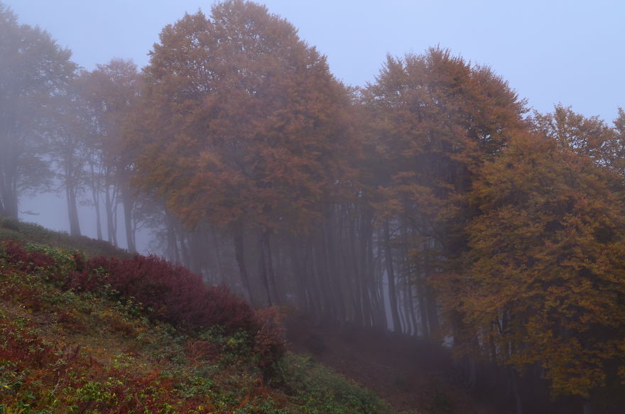 This Is What October In Bakhmaro(Georgia) Looks Like