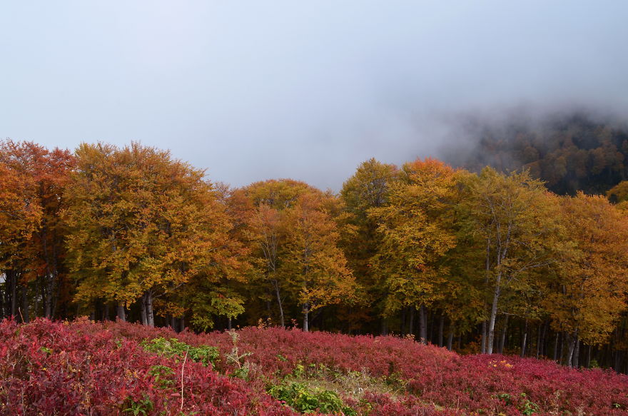 This Is What October In Bakhmaro(Georgia) Looks Like