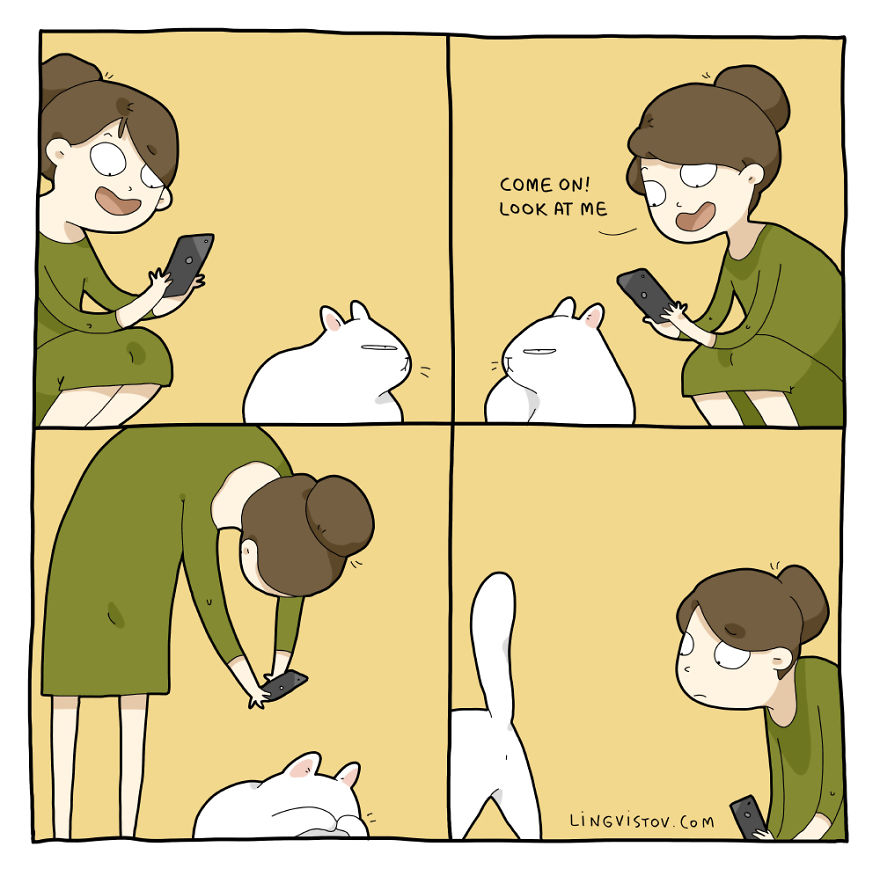 Comics About Life With A Cat