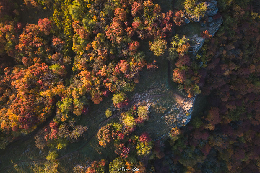 I Spent My Autumn Days Capturing The Beauty Of Hungary's Nature