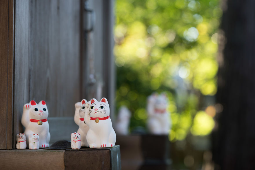 My Report From The Lucky Cats' Homeland