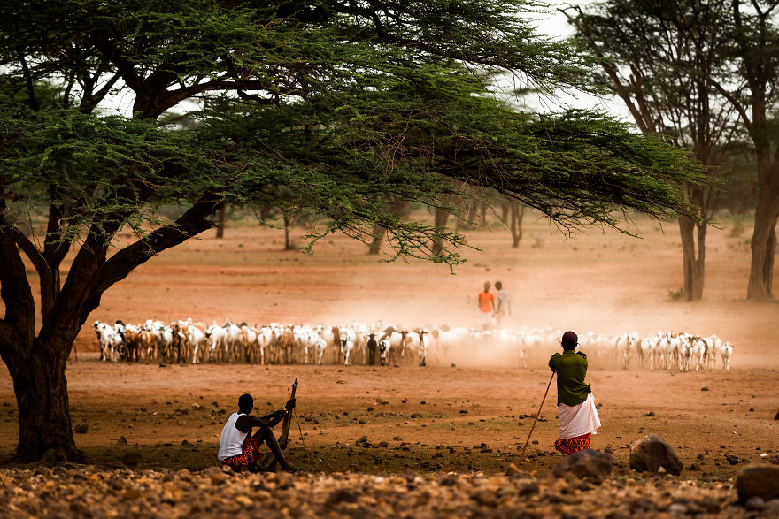 What A Veterinary Rabies Vaccination Program Looks Like In Africa