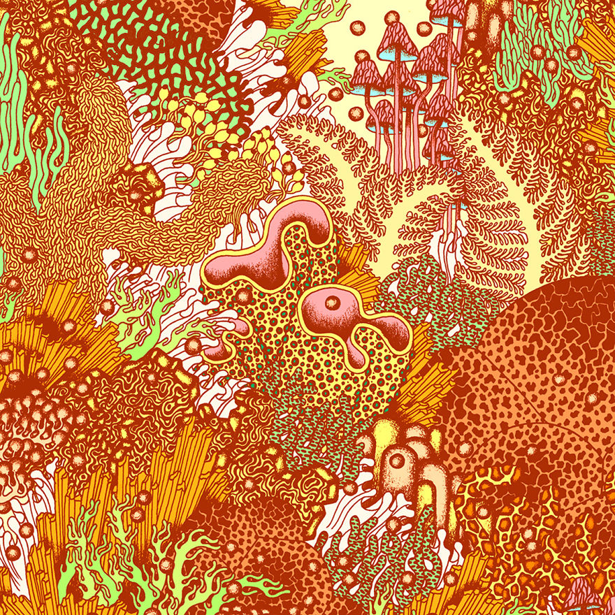 I Create Colorful Detailed Ecosystems
