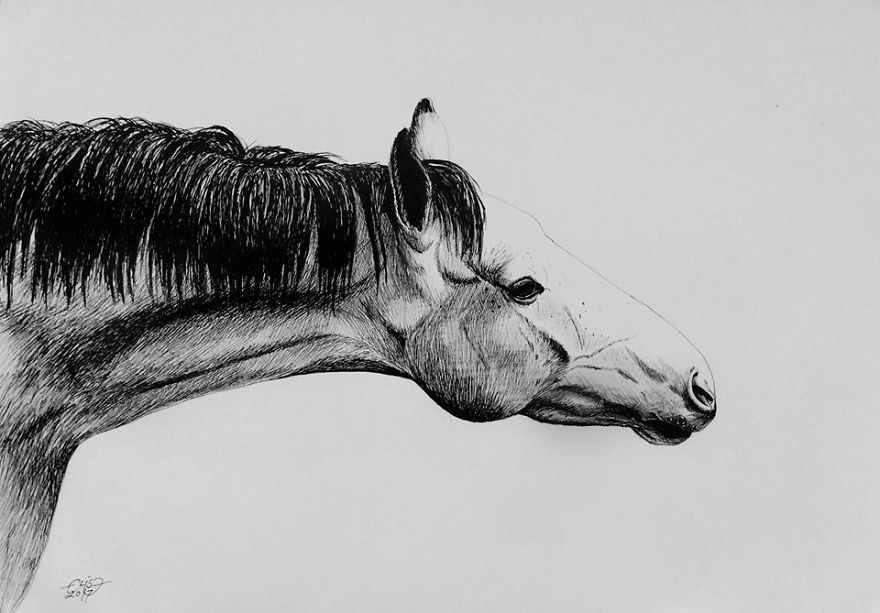 Estonian Artist Captures Personalities Of Horses With Her Realistic Hand-Drawn Art