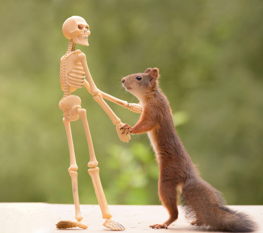 Here's How Squirrels Celebrate Halloween