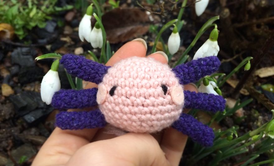 I Crochet Cute Animals To Help Pay For University