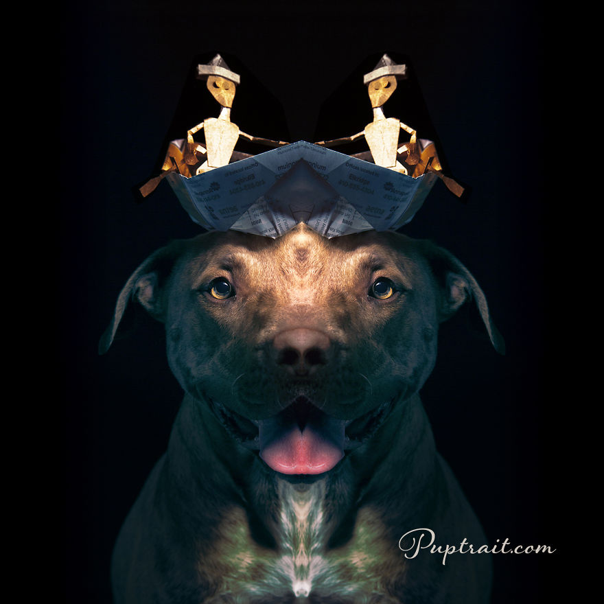 Foster Dogs And Other Discarded Things Come Together For Whimsical And Surreal Pet Portrait Series