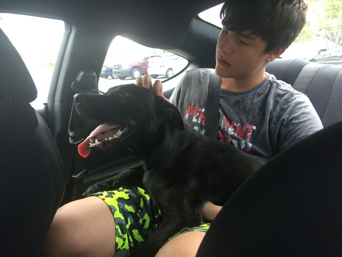 #our Hurricane Irma Rescue Baby "Max" Coming Home With Us . I Never Seen A Dog So Happy To Get A New Owner. Now My Son , Ryan, Is His Person For Life!!
