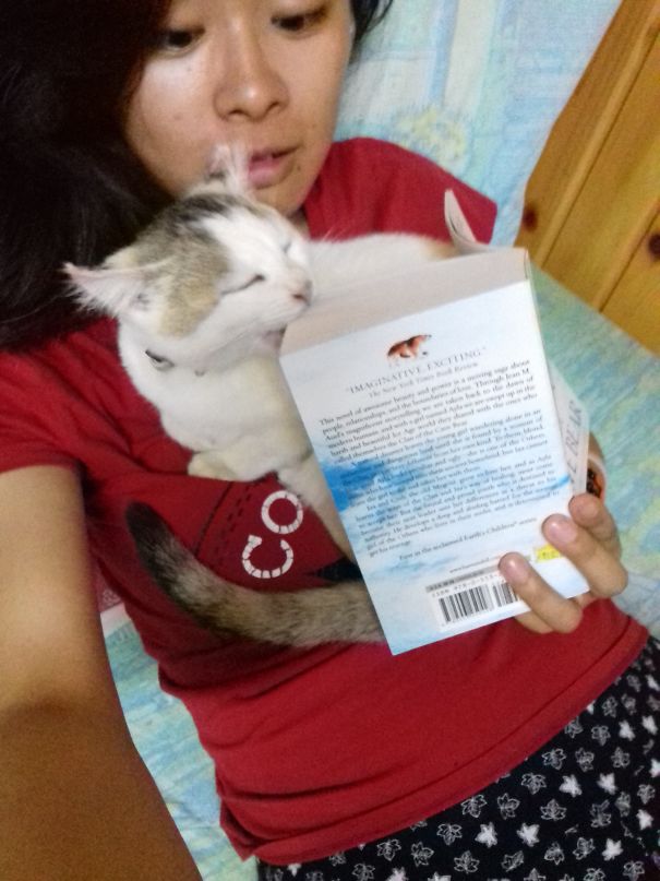 "Hooman, Cuddle. No Reading." Can't Read Around Her