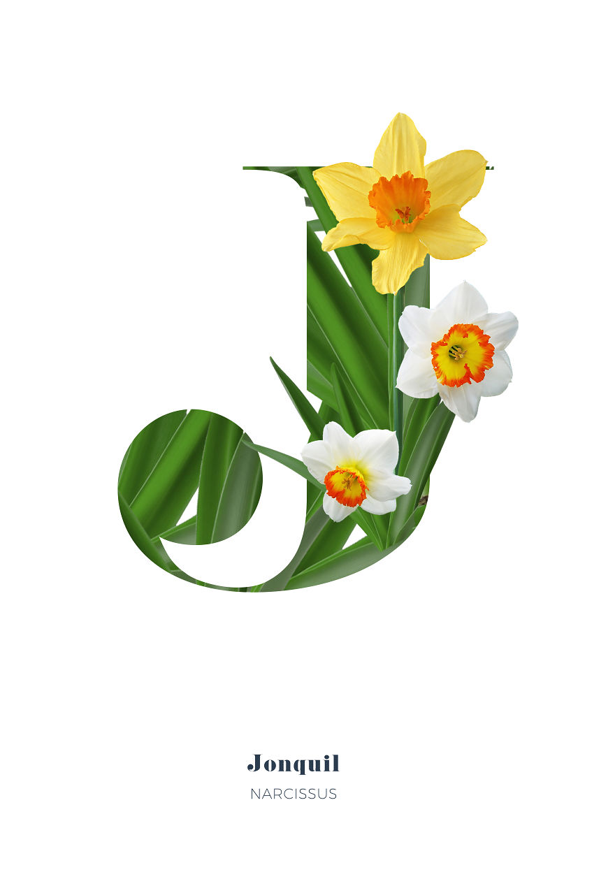 I Wanted To See What The Alphabet Would Look Like Made Out Of Flowers