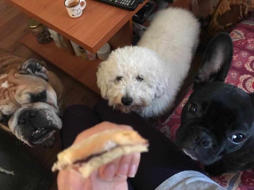 Life With Pepper