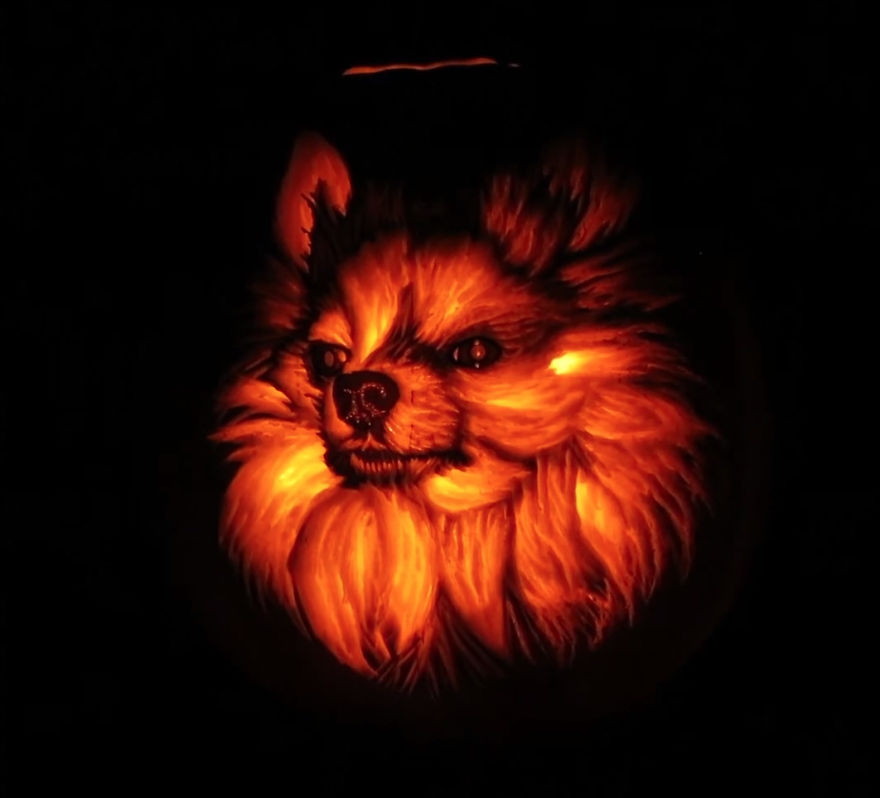 I Carved A Dog-O-Lantern That Looks Like My Pomeranian Sophie
