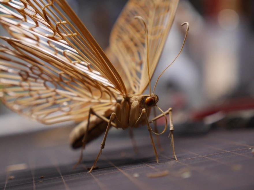 Japanese Artist Creates Incredibly Intricate Life-Size Insects From Bamboo, And The Result Will Impress You