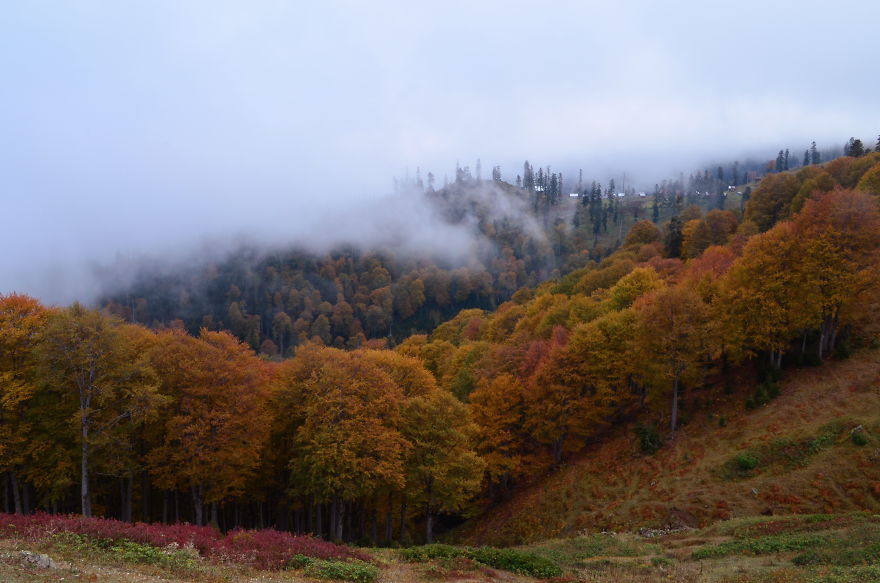 This Is What October In Bakhmaro(Georgia) Looks Like