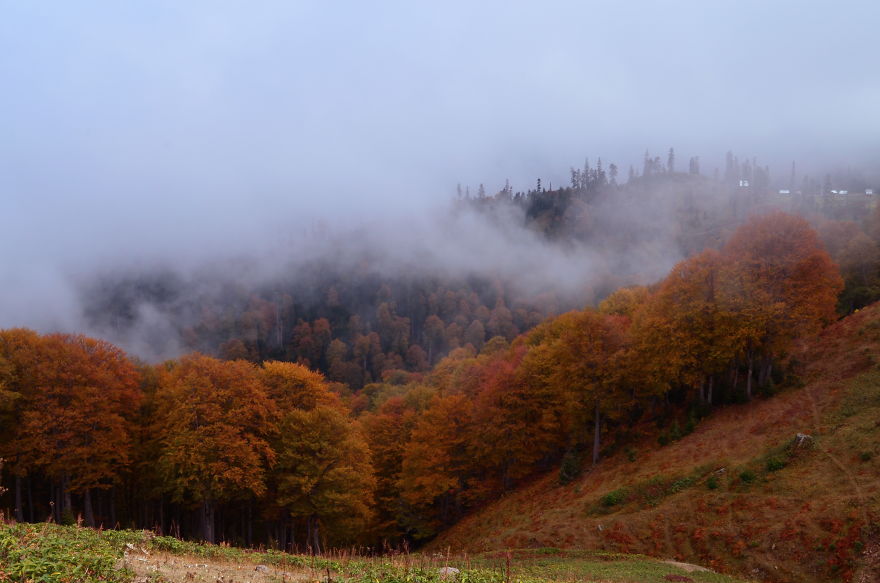 This Is What October In Bakhmaro(Georgia) Looks Like
