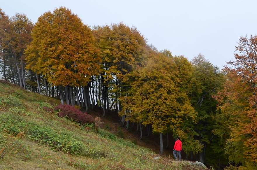 This Is What October In Bakhmaro(Georgia) Looks Like