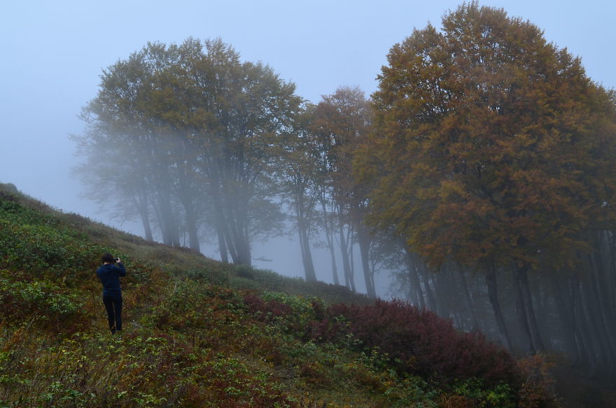 This Is What October In Bakhmaro(Georgia) Looks Like