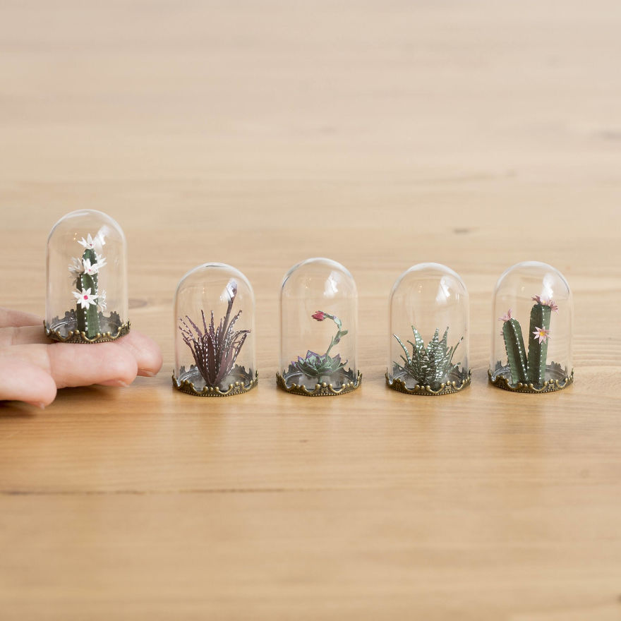 Tiny Terrariums With Miniature Paper Plants, Blooming Cacti And Flowers