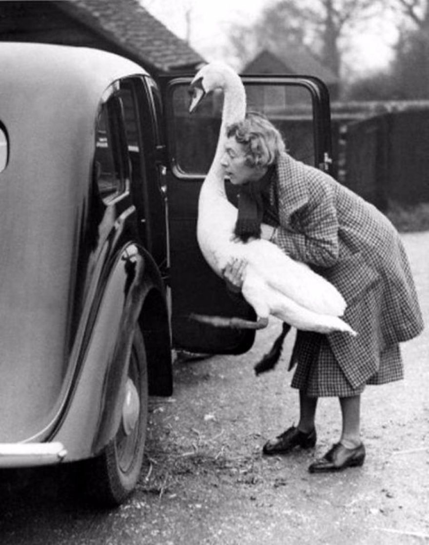 These Vintage Photographs Showing The Relationship Between Animals And People Will Surprise You