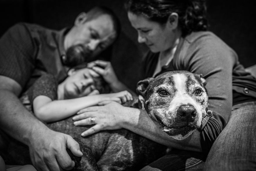 "Where Grief And Celebration Meet": This End Of Life Pet Photo Session Will Break And Warm Your Heart