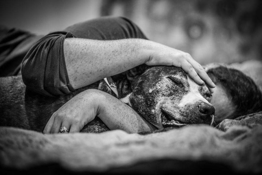 "Where Grief And Celebration Meet": This End Of Life Pet Photo Session Will Break And Warm Your Heart