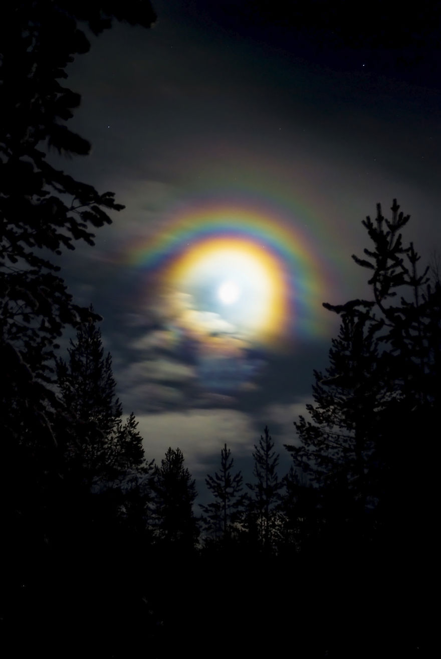 Wonders Of The Sky Wonders Of The Sky