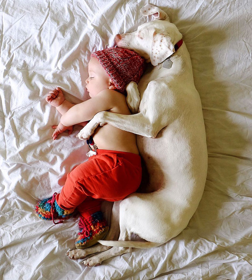 Abused Dog Is Terrified Of Everyone Except This Baby, And Their Pics Are The Sweetest Thing Ever