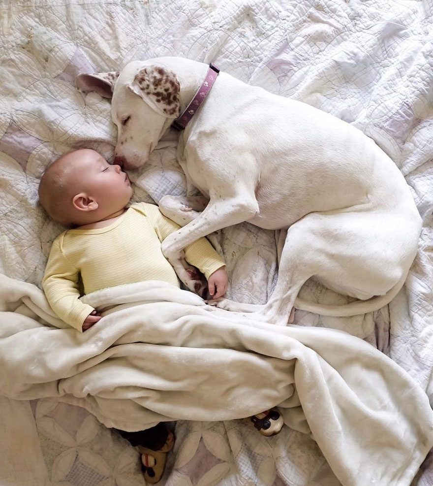 Abused Dog Is Terrified Of Everyone Except This Baby, And Their Pics Are The Sweetest Thing Ever