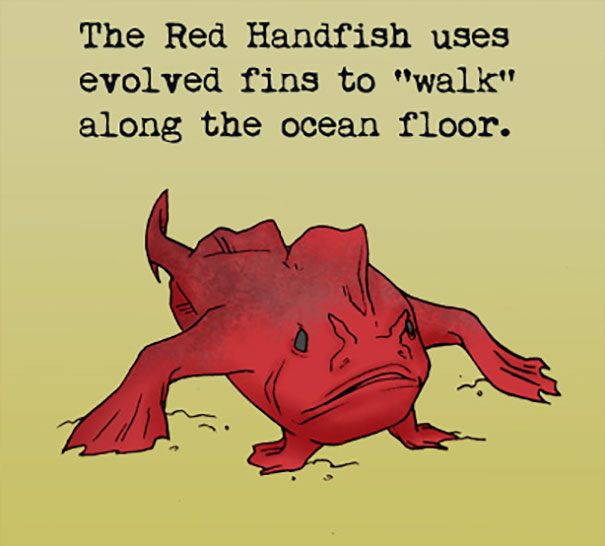 Deep Ocean Facts
