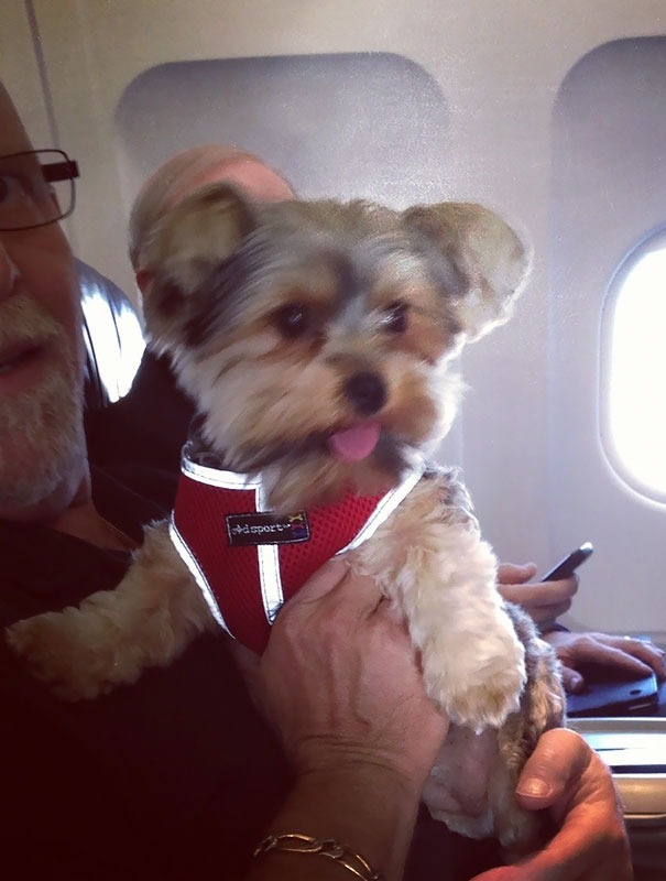 My Seat-Mate Today On A Flight To Florida. Every Single Person Boarding The Plane Smiled